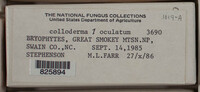 Image Associated With the Occurence